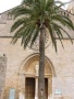 06_tl_mallorca_056.JPG